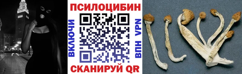 ссылка на мегу сайт  Кочубеевское  Галлюциногенные грибы Cubensis 